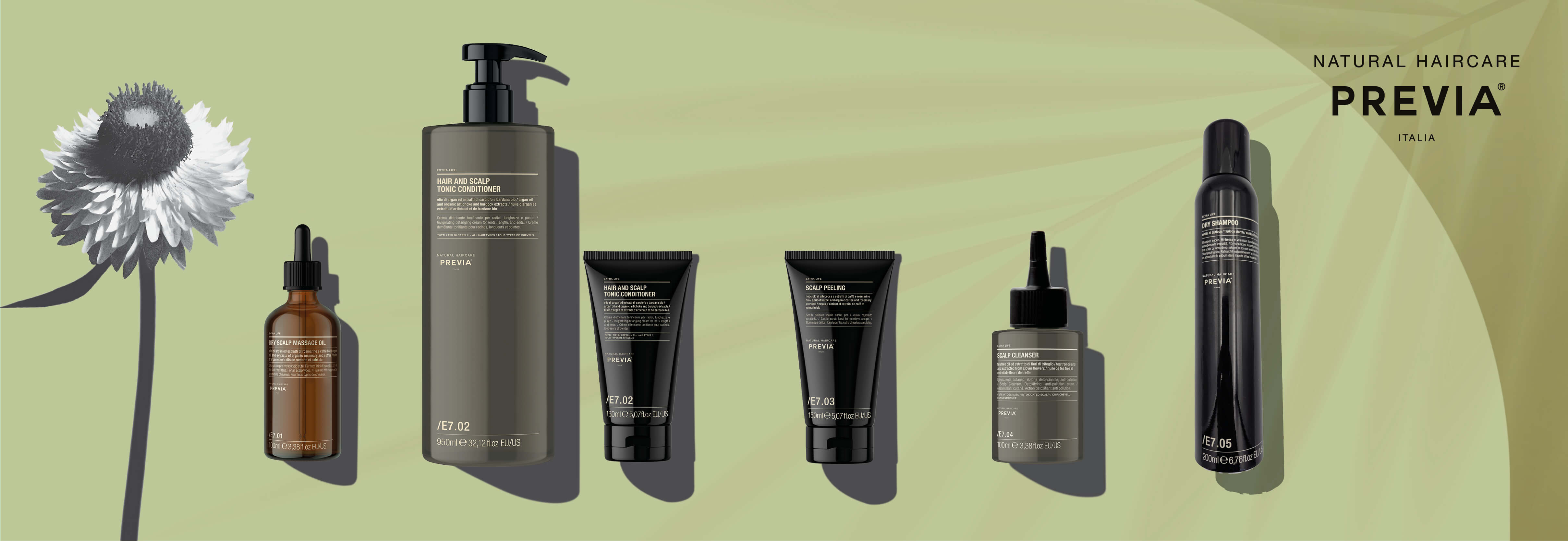 WEB IMAGE PREVIA_SPECIALS